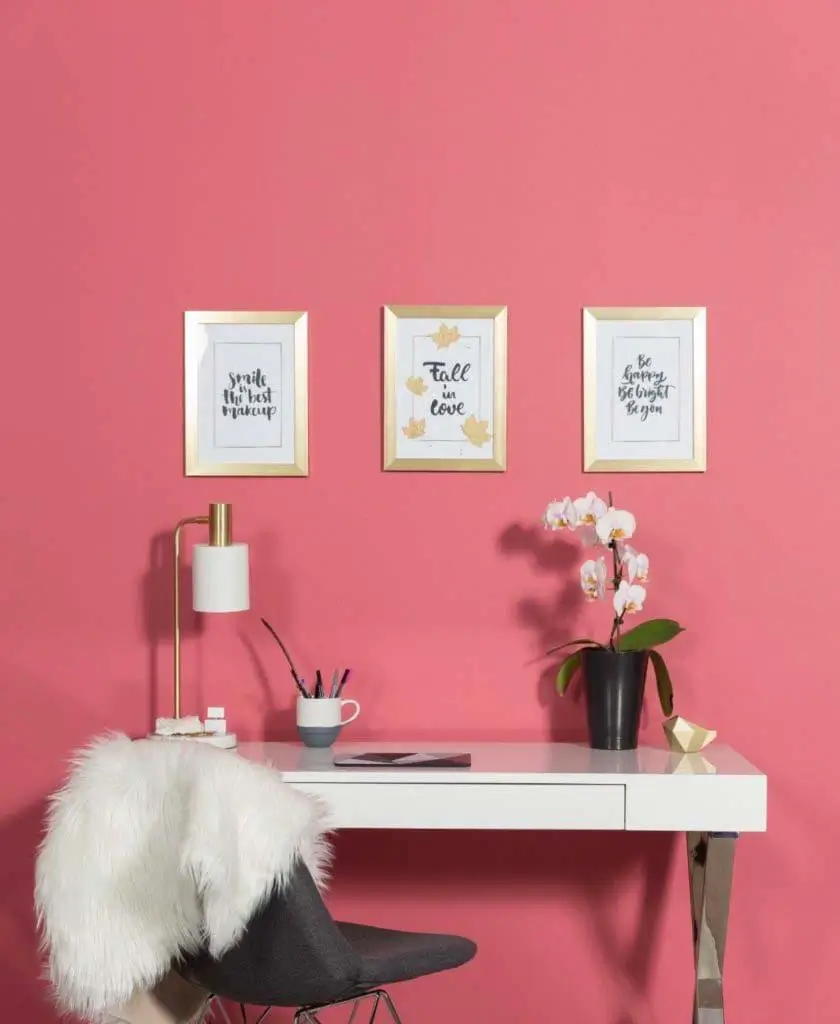 see our paint store