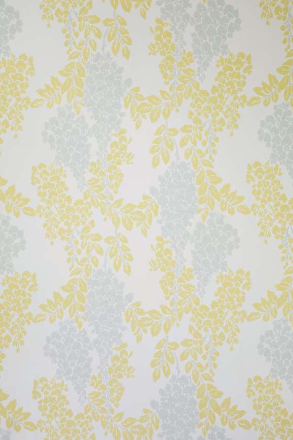 Wisteria - Stillorgan Decor