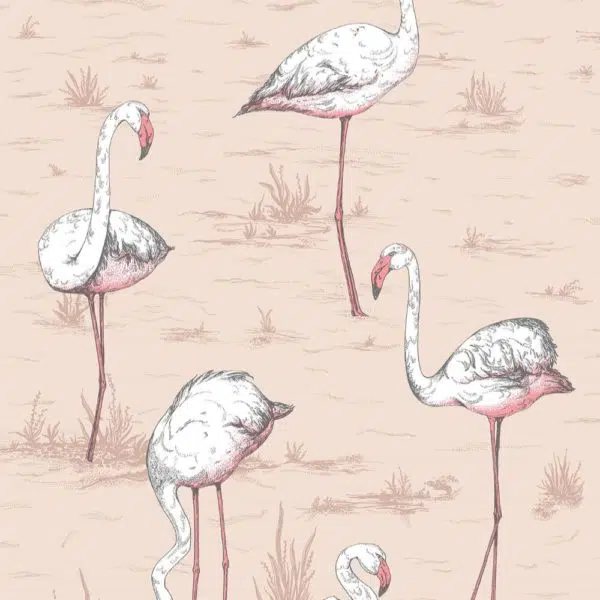 Flamingos - Stillorgan Decor