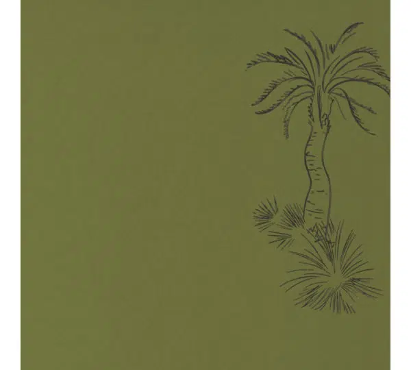Lighthouse palm - Stillorgan Decor