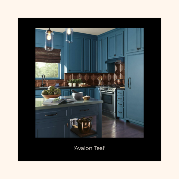 kitchen cupboard paint kit by fleetwood - Stillorgan Decor