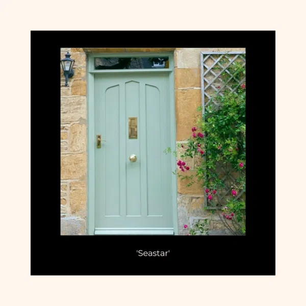 front door paint kit by fleetwood - Stillorgan Decor