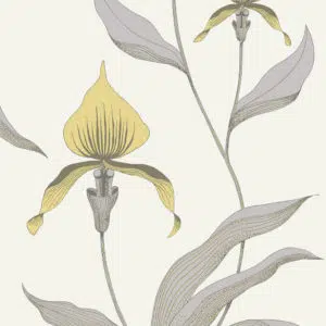 Orchid - Stillorgan Decor