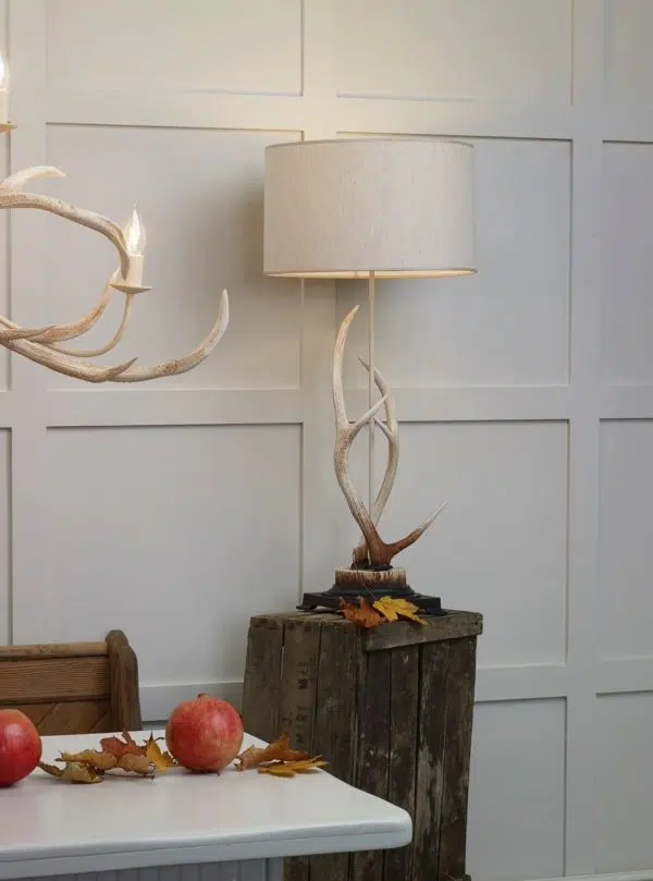 bespoke elegant antler table lamp large - Stillorgan Decor