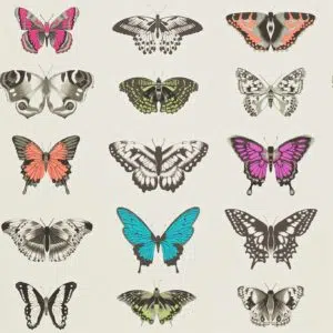 Papilio - Stillorgan Decor