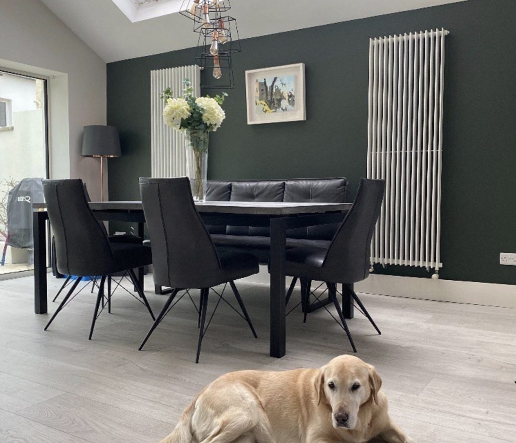 how to pick a colour by Ash of @doingupmyhome - Stillorgan Decor