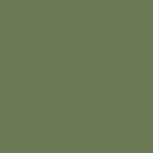 calke green no.34 by farrow & ball - Stillorgan Decor