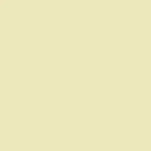 pale hound no.71 by farrow & ball - Stillorgan Decor