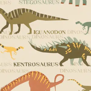 dinosaurs rw1008 - Stillorgan Decor