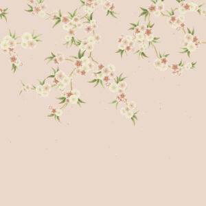 rosa mural - Stillorgan Decor