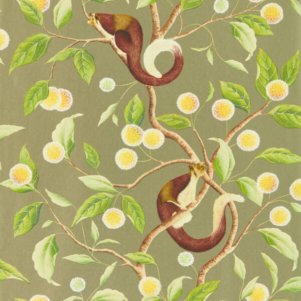 nellie - Stillorgan Decor