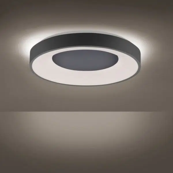 modern dual circle remote control flush light grey - Stillorgan Decor