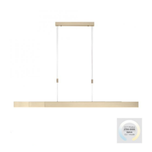 extendable ceiling light brass - Stillorgan Decor
