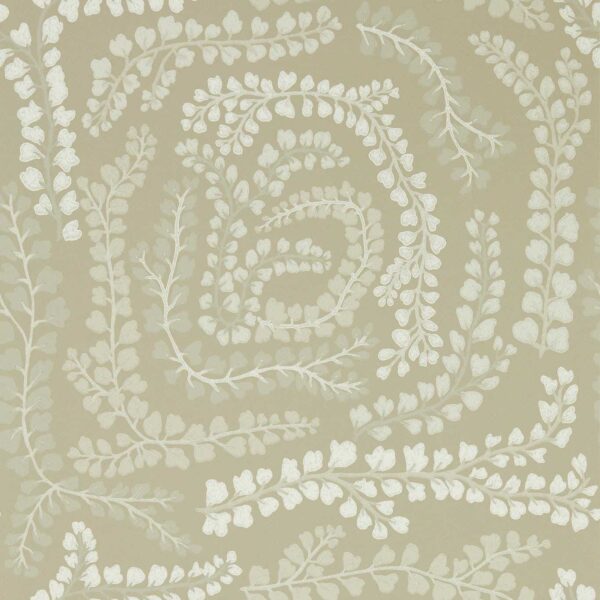 fayola - Stillorgan Decor