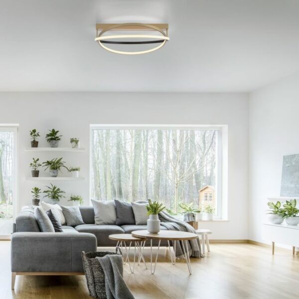 modern dual curve led remote control ceiling light brass - Stillorgan Decor