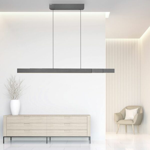 extendable rise and fall remote controlled dimmable pendant anthracite grey - Stillorgan Decor