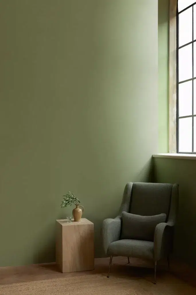 introducing plant based olive stone emulsion paint by mylands of london - Stillorgan Decor
