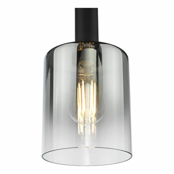 striking 1 light ombre smoked glass shade pendant - Stillorgan Decor
