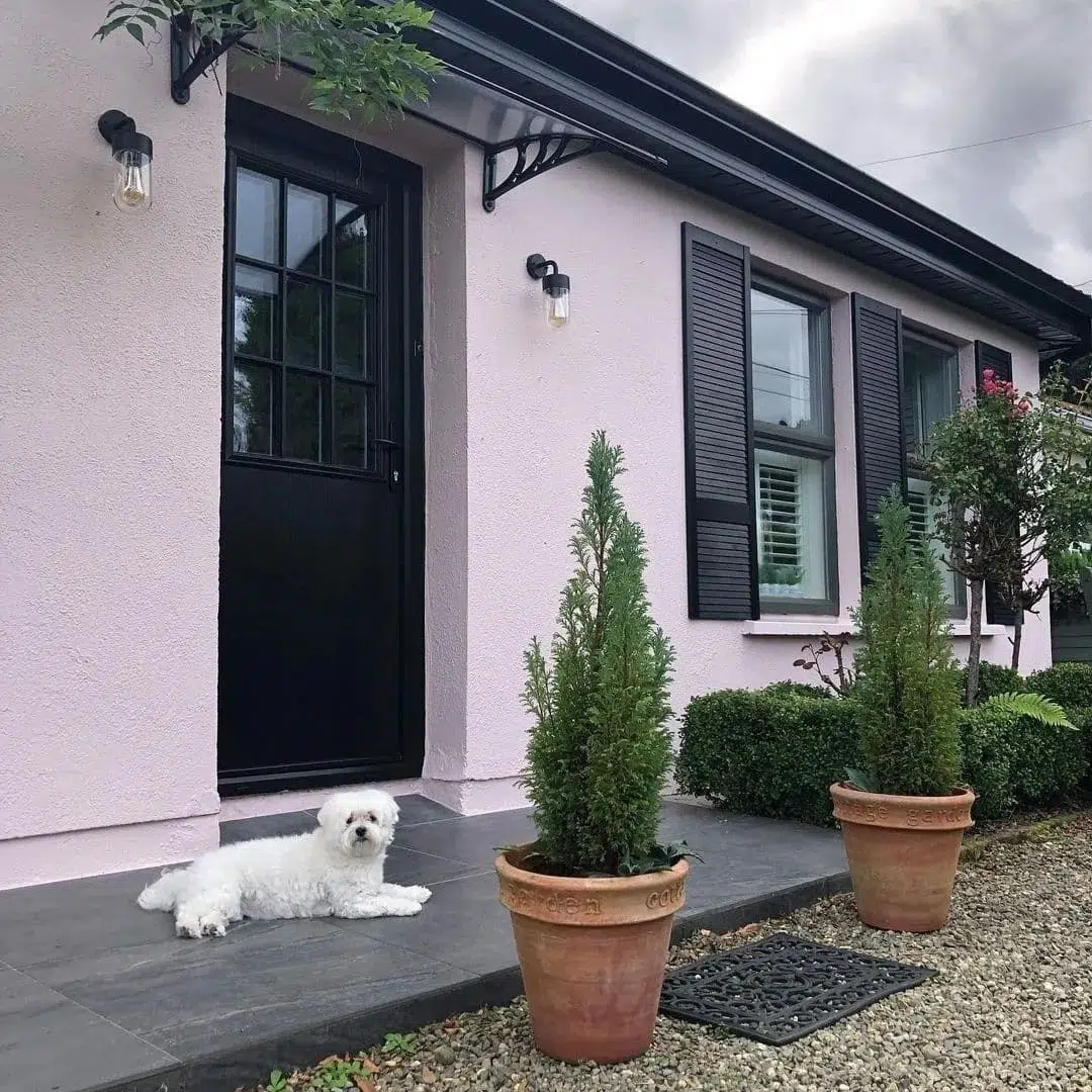 The beautiful home of our amazing Interior Designer @missemmaedmonds ! 😍 Featuring 🐶 Maxi!

"Huge thank you to @gaynorronanpainting , what wonderful craft painters he has! I did a bit myself but @gaynorronanpainting did most of it! Fitted my new shutters today and painted them with black Bradite One Can from @stillorgandecor . The pink paint is from @duluxirl and I love it! Swipe to see the testing process with Mom and Dad and my new front door from @archerswindows . 

Thank you to @coracollinscolour and @duluxirl for the beautiful pink paint code 🎨21YR67074, in Weathershield smooth Masonry finish from @stillorgandecor . I also had Bo and Maxi 🐶🐶 helping! " - Emma

       