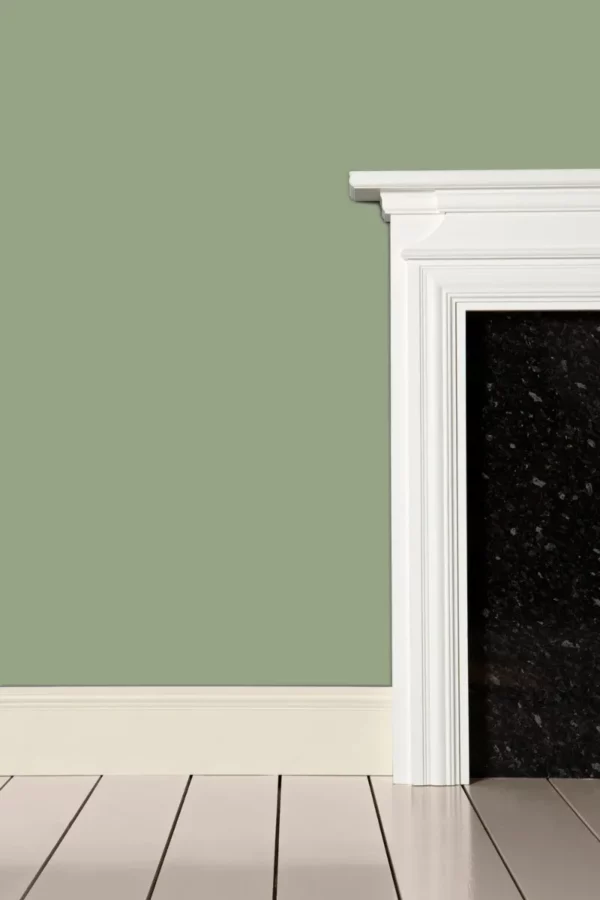 Lichen Farrow And Ball - Stillorgan Decor