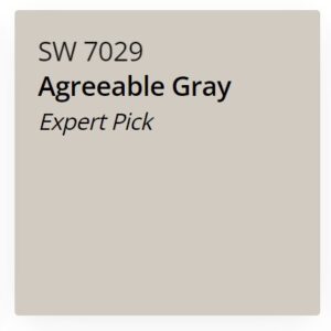 agreeable grey by sherwin willams (Copy) - Stillorgan Decor