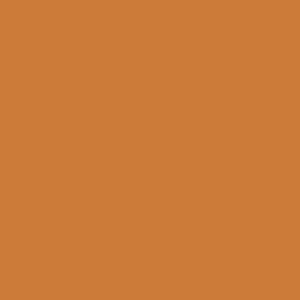 pumpkin spice by emma edmonds - Stillorgan Decor
