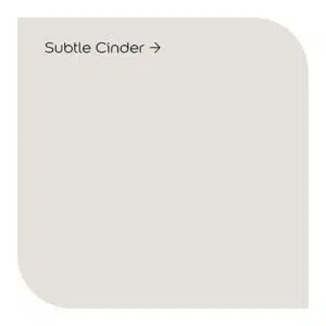 subtle cinder by dulux signature