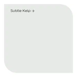 subtle kelp by dulux signature - Stillorgan Decor