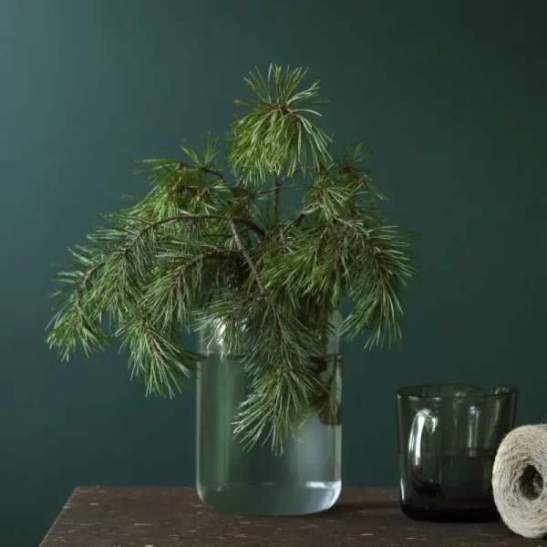 fjord m442 by tikkurila - Stillorgan Decor