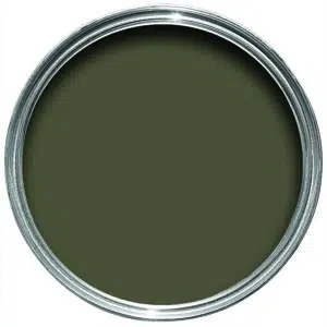 reduced green no.313 by farrow & ball - Stillorgan Decor