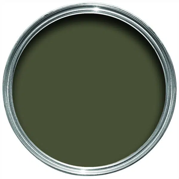 reduced green no.313 by farrow & ball - Stillorgan Decor