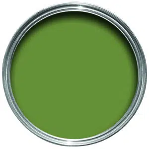 sap green no.199 by farrow & ball - Stillorgan Decor