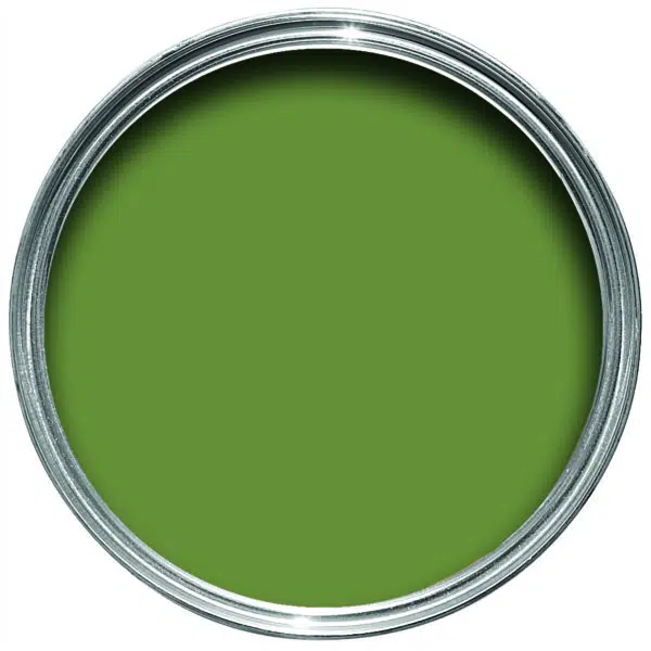sap green no.199 by farrow & ball - Stillorgan Decor