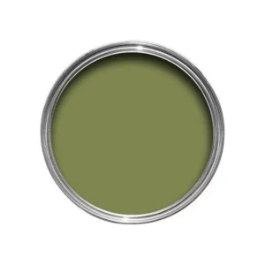 sap green Nr. 199, autors farrow & ball - Stillorgan Decor