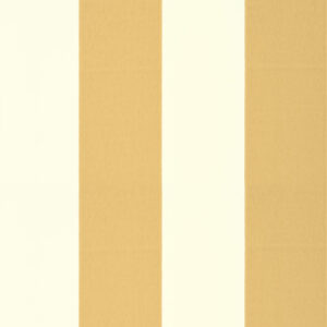 broad stripe by little greene - Stillorgan Decor