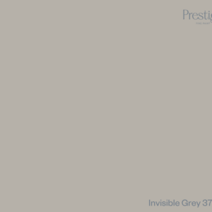 Invisible Grey 37 - Stillorgan Decor