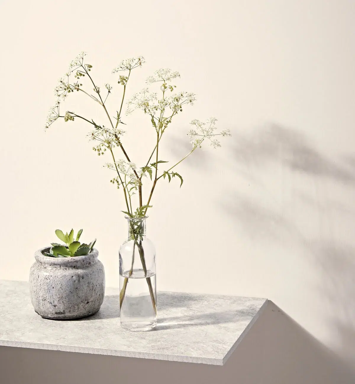 chalk white by fired earth 2 chalk white by fired earth - Stillorgan Decor