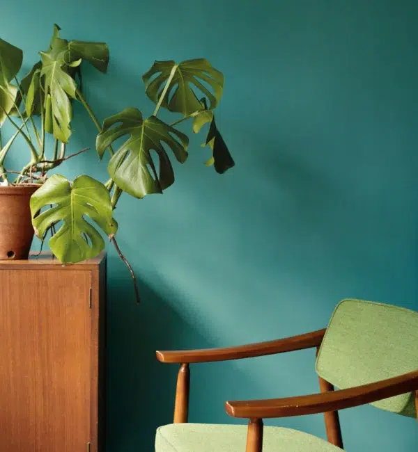 south bank by fired earth - Stillorgan Decor