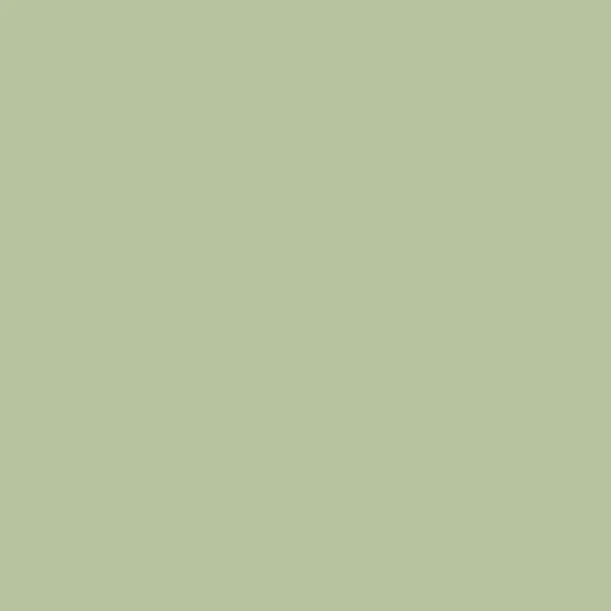 sweet cicely by fired earth 1 sweet cicely by fired earth - Stillorgan Decor