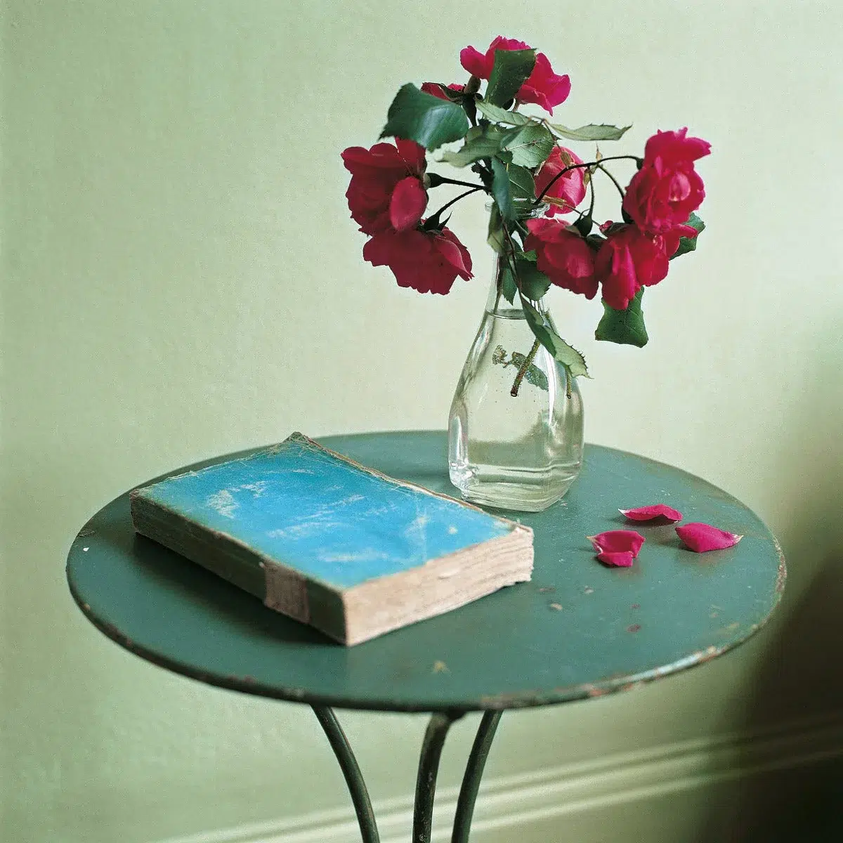 sweet cicely by fired earth 2 sweet cicely by fired earth - Stillorgan Decor