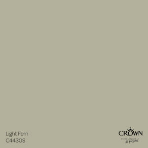Colour Edit Light Fern Medium - Stillorgan Decor