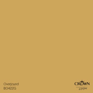 Krāsu rediģēšana Overjoyed Vidēja — Stillorgan Decor