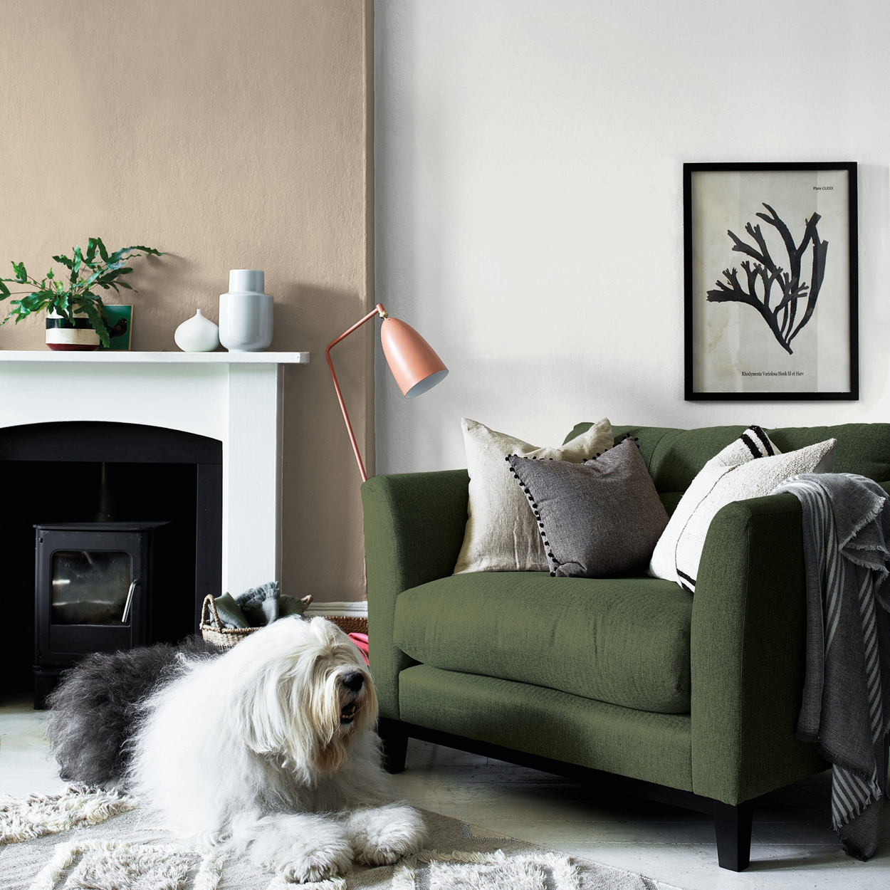 biela hmla pri dulux 2 biela hmla pri dulux - Stillorgan Decor